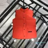 Erkek Yelek Erkek Kadın Kış Aşağı Yelek Isıtmalı Bodywarmer Erkek Ceket Jumper Açık Sıcak Tüy Kıyafet Parka Dış Giyim