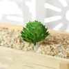 Künstliche Sukkulenten Pflanzen PVC Simulation Aloe Lotus Blume Landschaft DIY Faux Blume Kreative Dekoration DIY Zubehör