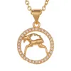 Collana con dodici segni zodiacali Catena d'oro Ciondolo moneta animale Pendenti Pesci Fascino Segno zodiacale Girocollo Collane astrologiche per donne Gioielli di moda Will e Sandy