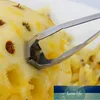 Gereedschap 1 stks Fruit Peeler Pineapple Cutter Rvs Shovel Slicer Clip Accessoires