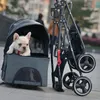 Pies Car Seat Obejmuje Przenośny Pet Kot Spacerowicz Case Odpinany Oddychający Przewoźnik Transporter Składany Dla 50 kg Torba Podróżna szczeniaka