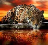 Wholesale 5D Diamond Painting Kits Beginner Animal Tiger Elephant Cub Eagle Full Drill Drawing Paint by numbers 9.8x9.8 inches KD1