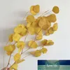 Dekorativa blommor kransar äkta torkade naturliga färska för evigt eukalyptus grenar, konserverade runda löv blommor eukalyptus, DIY H fabrikspris expertom d