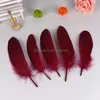 Party Decoration Diy Decor Feathers For Crafts Wedding Bdenet Color Goose Hard Floating Dream Net Clothing Accessories jllWkv