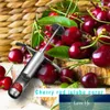 304 из нержавеющей стали вишневый Jujube Corer Pitter Fruit Кухня оливкового ядра гаджет Stoner Удалить яму семена выталкивающую выставку заводской цену экспертное качество дизайн качества новейший стиль