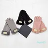 moda 2021 Design Guanto stile pelliccia sintetica per donna Guanti invernali in pelle artificiale a cinque dita caldi all'aperto