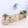 1PCS Piękny ceramiczny mini doniczko biurka do soczystej rośliny Bonsai Flower Cactus Owl Difts for Women Girl