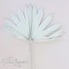 4 stks Gedroogde Fan Bladeren Boho Bruiloft Botanische Natuurlijke Blad Home Decor ing Fans Witte Palm Spear 210317231I