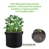 3/4/5/7 Gallon Felt växtväska Trädgårdsskötsel Växtpott Miljövänlig Vegetabilisk växande planter Blomma Planting Pots Garden Tools 210615