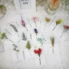 Fleurs Cartes de voeux Gypsophile fleur séchée manuscrite bénédiction carte de voeux cartes-cadeaux d'anniversaire invitations de mariage DHL