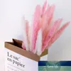 15Pcs/Lot Real Plants Dried Small Pampas Grass Flowers Pantas Artificiales Para Decoracion Home Decor Easter Decoration