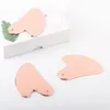 Rose Gold Silver Rvs Gua SHA Scraper Face Care Massage Tool Set voor Neck Body Beauty Verminder Puffiness Health Anti Rimpel Cellulitis