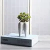 Teeth shape ceramic pot succulent planter mini white cute garden flower decoration indoor office desk decor RRE10265