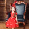 Christmas Dress Halloween Costume Party Children Kids Cosplay Costume For Girls Dress With Hat 3 5 7 9 11 13 years old 210329