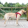 Breathable Pet Harnesses Chest Strap Large Medium Sized Dog Vest Style Chest Harness Pets Supplies Four Colors