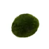 3-4cm 마리모 이끼 공 라이브 수족관 식물 조류 물고기 새우 탱크 장식 행복한 환경 녹색 해초 공 N50 장식