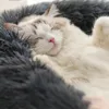 丸い柔らかい大猫のベッド毛皮温めペット犬の小さな犬のベッド猫ネスト冬温かい眠りクッション子犬マットWy1318-yfa