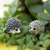 Mignon Mini Résine Hérisson Micro Paysage Miniature Fée Animal Moss bouteille Plantes Succulentes pot décoration accessoires écologiques résine artisanat DH9585