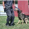 Almohada duradera para morder para entrenamiento de perros, 10.0 x 7.0 in, almohadilla para morder segura con 3 asas cómodas y fuertes, juguete de yute resistente, perros medianos y grandes, ideal para guerra de tira y afloja K9 IPO Schutzhund cachorro