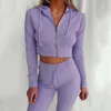 2021 SPring Women Pajama Set Home Hooded Long-sleeved With Zipper Top & Pants Suit Outfits Ladies Slim Casual Suit Homewear Y0702