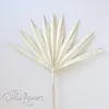 4st torkade fläktblad boho bröllop botaniskt naturligt blad heminredning fans vita palm spjut 2103173420