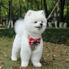 Pet Anti-lost Leash Small Dog Cat Chest Strap Vest Type Traction Rope Puppy Adjustable Chests Straps Leashes Pets Apparel Set BH5421 WLY