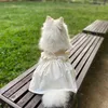 Летняя Усовершенствованная настройка Pet Dog Одежда для одежды Платье Платье Кружева Шнурок Шеробная галстука для маленького Среднего Щенка Чихуахуа Йоркшир Y200922