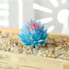 Artificial Succulents Plants PVC Simulation Aloe Lotus Flower Landscape DIY Faux Flower Creative Home Decoration DIY Accessories