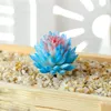 Künstliche Sukkulenten Pflanzen PVC Simulation Aloe Lotus Blume Landschaft DIY Faux Blume Kreative Dekoration DIY Zubehör