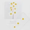 100pcs blanc marguerite fleurs séchées fleur pressée naturelle pour résine téléphone portable pendentif bracelet bijoux décoration matériel 210624