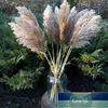 Torkad Pampas Grass Decor Wedding Flower Bunch Natural Växter För Hem Juldekorationer Present Torka Blomma Fabrikspris Expert Design Kvalitet Senaste Style