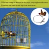 Other Bird Supplies 3-Piece Feeder Cup Stainless Steel Parrot Animal Cage Water Food Bowl S