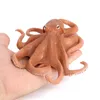Simulaci￳n animales marinos modelo juguete accesorios decorativos cangrejo pulpo ray tortuga marina organismos marinos modelos adornos decoraciones ni￱os aprendiendo juguetes educativos