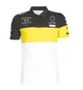 2021 F1 Formel 1 gemeinsame Autoserie LOGO Rennanzug Sommer Kurzarm T-Shirt Revers POLO Shirt schnell trocknend atmungsaktiv la302d