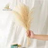 Pampas Grass Decor Biały kolor puszysty naturalne suszone kwiaty Biegły bukiet boho vintage styl na wesele dom do domu świąteczny 22110