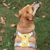 Учения собаки для собак для собак Светоотражающая грудь ремень ремень жилет регулируемый наружный защитный ремень для маленьких средних больших собак 210729