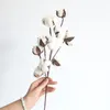 Decorative Flowers & Wreaths 53cm Natural Dry Cotton, Artificial Plant Flower Branches,DIY Wedding Party Fake Flowers,Home Vase Arrangement