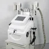 Cryolipolysis Fat Freeze Machine Slimming Ultrasound Cavitation 40K Ultrasonic Fat Burning Lipo Laser 2 Cryo Handles Body Sculpting Weight Loss Beauty Equipment
