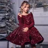 Sequin Burgundy Bebek Kız Elbise Kadife Tam Kollu Çiçek Kız Elbise Diz Uzunluk Elbiseler Kızlar İçin Bow Puffy İlk Cemaat