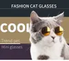 猫の衣装のメガネのペット猫の写真工具工場工場価格専門のデザイン品質最新のスタイルの元のステータス