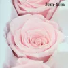 12 Pçs / lote High-End Preservada Flores Imortal Rose Flor 3-4cm Diâmetro Dia Das Mães Dia Presente Eterno Vida Flor Caixa de Presente de Material 210317