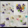 Feestelijke feestartikelen Home Garden1Box Epoxy Filler Real Dried Flower Gemengde 3D Nail Stickers Decor Herbarium Craft Decoratieve bloemen Warrel