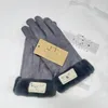 Europese en Amerikaanse handschoenen dames herfst winter touchscreen met pluche verdikt warm