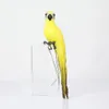 25/35cm Simulación hecha a mano Loro Objetos decorativos Figuritas Pluma creativa Césped Estatuilla Ornamento Animal Pájaro Jardín Pájaro Prop Decoración Miniatura
