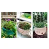 화분 냄비 fower / 녹색 식물과 1pcs 현대적인 스타일의 꽃 냄비 플라스틱 자체 급수 식물 집에 대 한 바구니
