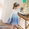 Abito estivo da bambina per bambina a maniche lunghe blu ghiaccio da principessa in tulle con volant in cotone a strati Costume Vestido 210529