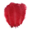 Ostrich Feather Plume Colorful Feathers For Crafts Costume Supplies Table Wedding Birthday Centerpieces 12Colors Choose Hh9-2119 Abuo 646 V2