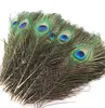 Отличное украшение натуральные павлины хвостовые перья Bulk Peacock перья 10-12 "(25-30см) павлинов перьев