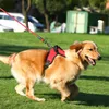Hund sele nylon reflekterande justerbar för medelstora stora stygg husdjur sele väst utomhus promenader leveranser