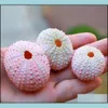 Decorations Aquariums & Fish Pet Supplies Home Garden Air Plants Holders Natural Sea Urchin Shell Wall Hanger Handmade Rope Hanging Plant Wi